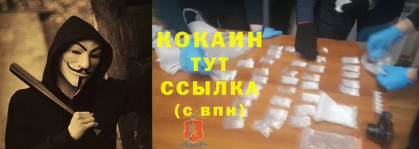 ГАЛЛЮЦИНОГЕННЫЕ ГРИБЫ Алексеевка