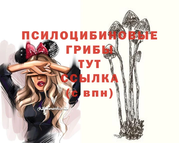 ГАЛЛЮЦИНОГЕННЫЕ ГРИБЫ Алексеевка